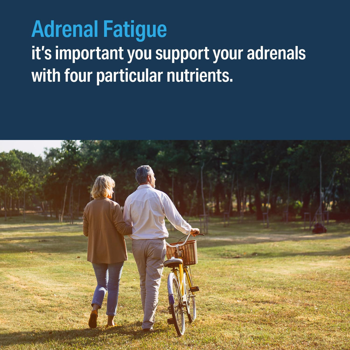 Advanced Bionutritionals Adrenal Factor Supplement - 120 Tablets - image 4