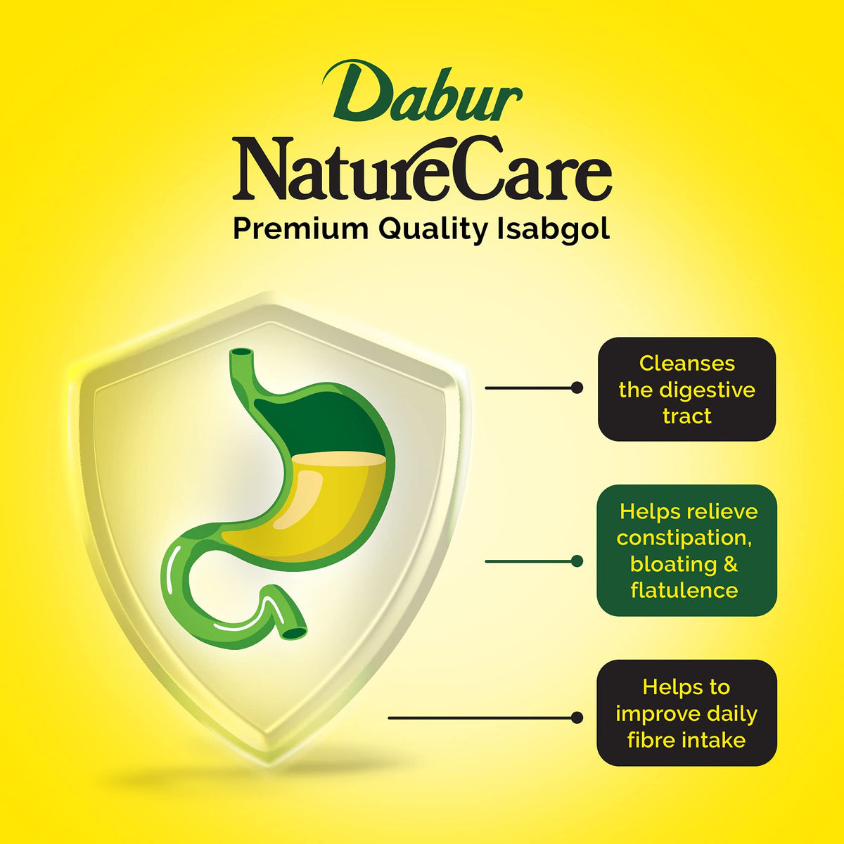 Dabur Nature Care Isabgol Dietary Fibre - 375 g - image 4