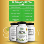 GREENVIFY Nicoya PuraTea Max Green Tea Extract & Green Coffee Bean