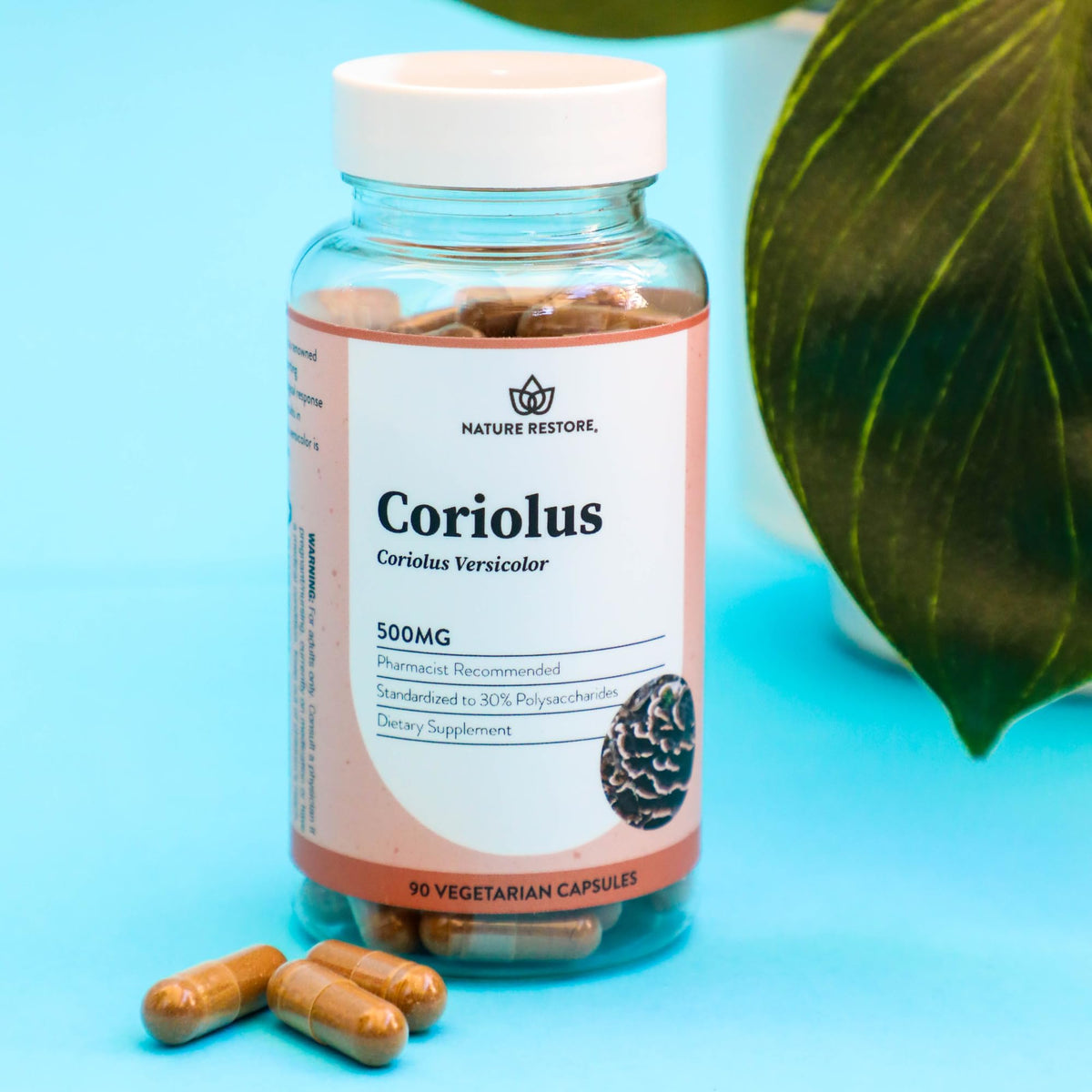 Nature Restore Coriolus Versicolor Mushroom Extract - 90 Capsules - image 4