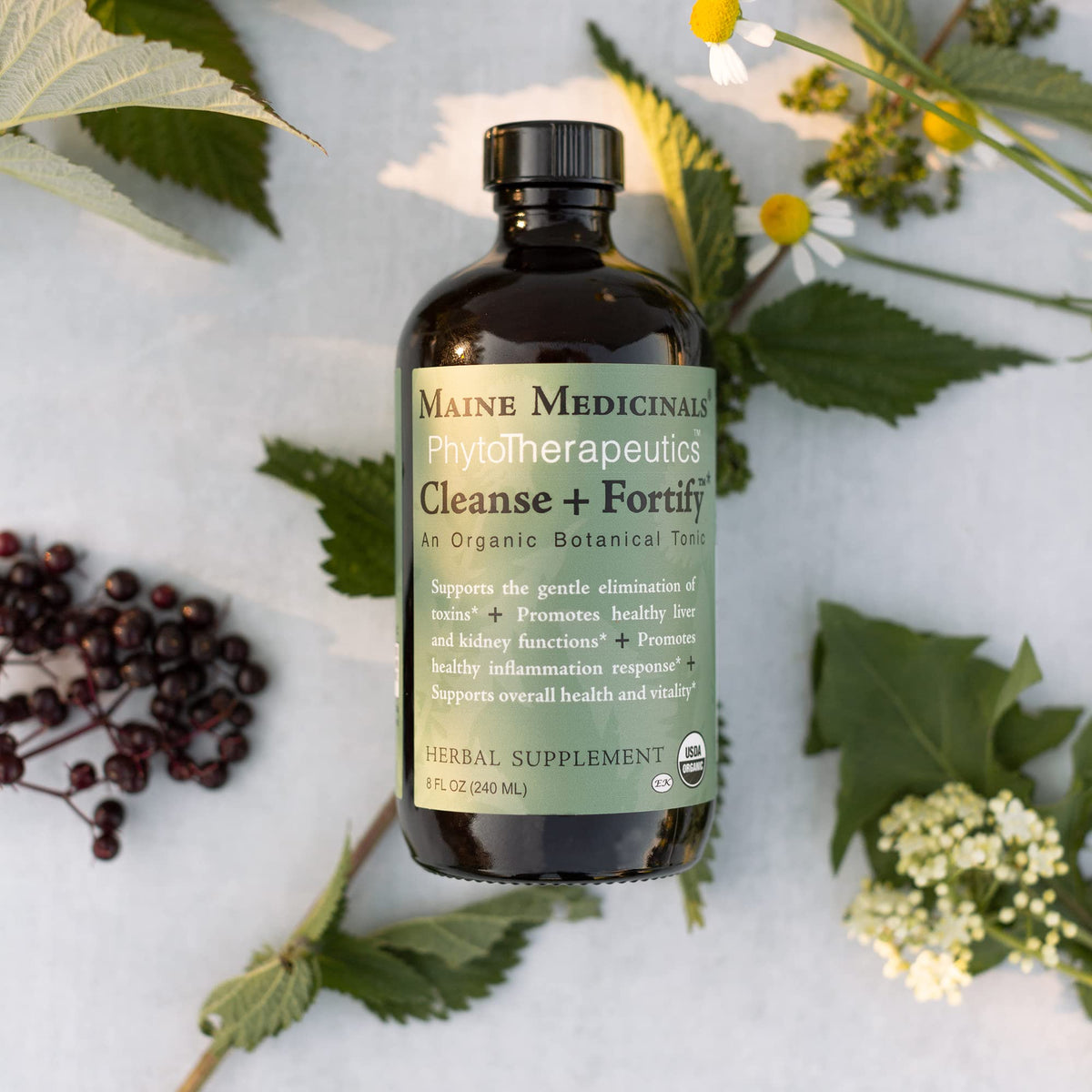 Maine Medicinals Cleanse + Fortify Organic Liver Detox and Kidney - image 2