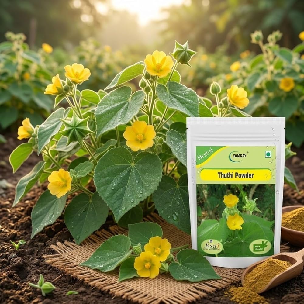 YAMKAY Abutilon Indicum Thuthi Powder - 300 GM - image 3