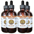 Hawaii Pharm Umckaloabo Pelargonium Root Liquid Extract - 4 fl oz, 4-Pack