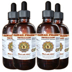 Hawaii Pharm Umckaloabo Pelargonium Root Liquid Extract - 4 fl oz, 4-Pack