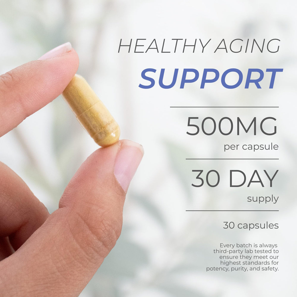 Neurogan Fisetin 500mg Senolytic Cellular Support - 30 Capsules - image 3