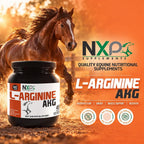 NXP Supplements L-Arginine AKG Powder for Horses - 1 lb - image 3