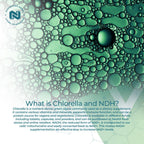 Nootropics Depot NADH + Chlorella Capsules