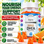 VAITE DHEA 50mg Gummies for Hormone Balance & Energy - 60 Gummies - image 2