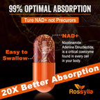 Rhameph Rossylla Liposomal NAD+ 1300 MG - 60 Capsules - image 4