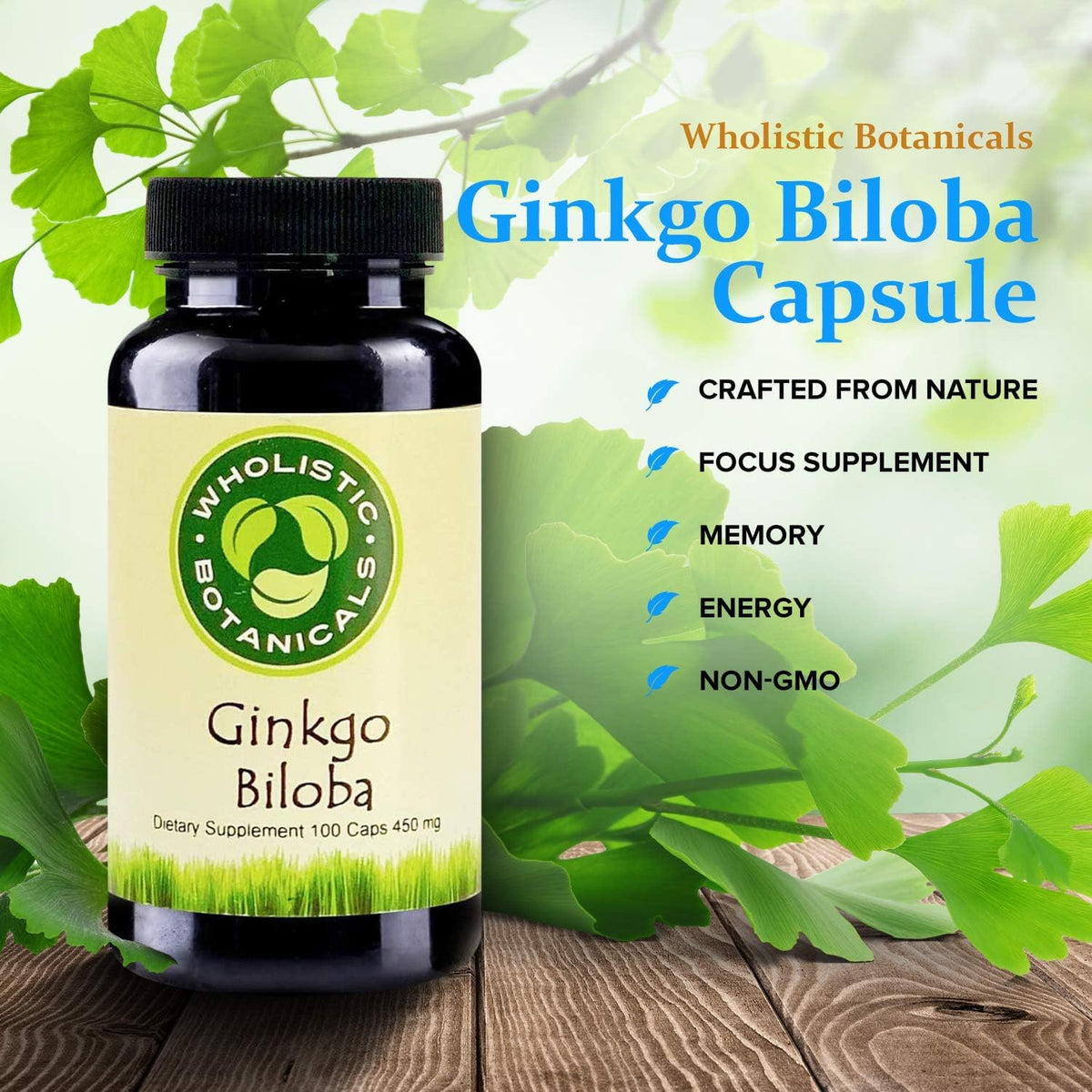 Wholistic Botanicals Ginkgo Biloba Capsule Memory Supplement - 100 Capsules - image 3