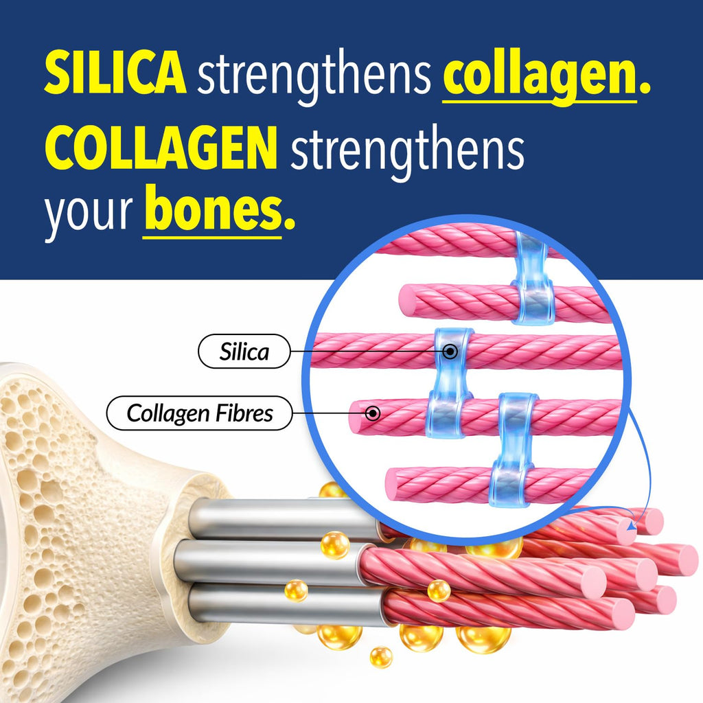 LABO Nutrition Bioactive Organic Silica