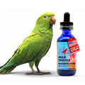 Morning Bird Milk Thistle & Dandelion Extract Liver Support - 1 fl oz