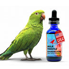 Morning Bird Milk Thistle & Dandelion Extract Liver Support - 1 fl oz