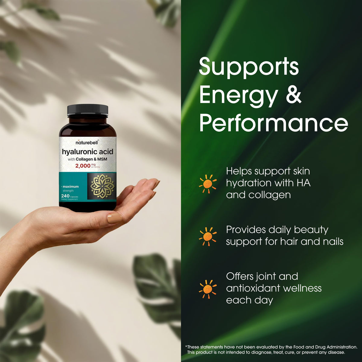 NatureBell BA NB Hyaluronic Acid & MSM Parent