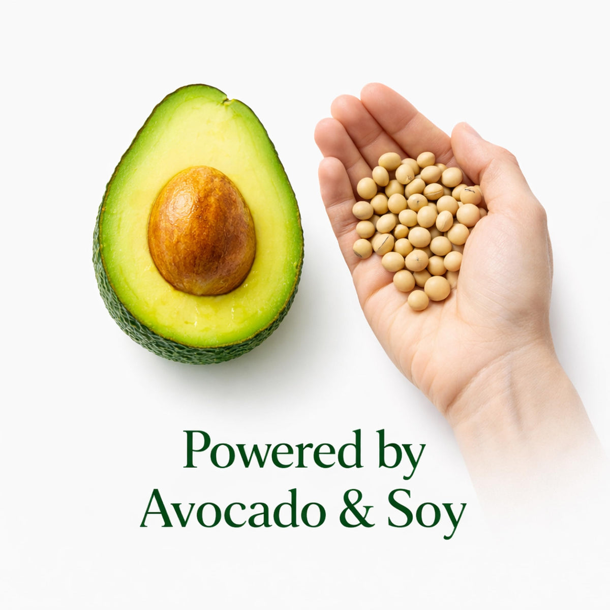 NOULIQ Avocado Soy Unsaponifiables Joint Supplement - 60 Capsules - image 4