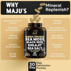 Maju Superfoods sea Moss Capsules