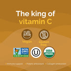 Zint Camu Camu Powder Natural Vitamin C Immune Support - 3.5 oz - image 3