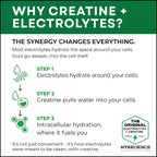 MYOXCIENCE Electrolyte STIX