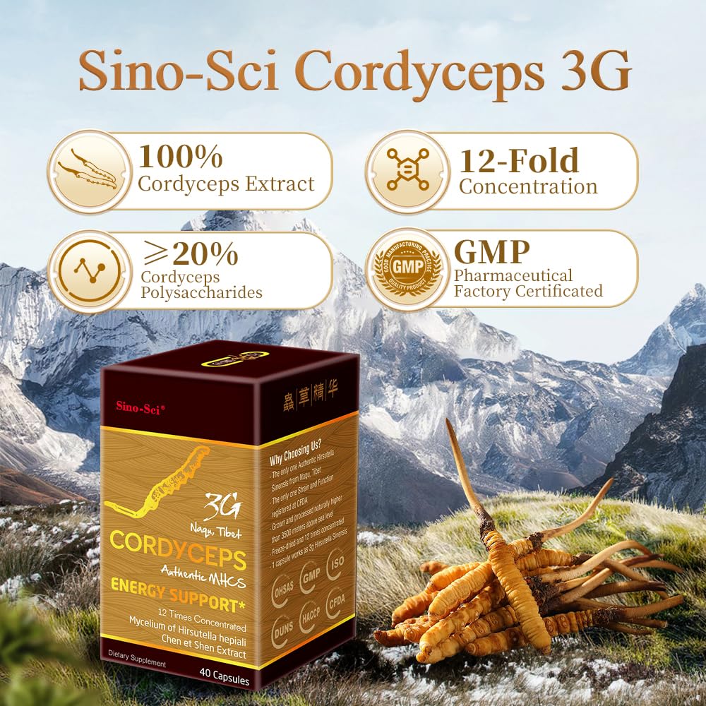 Sino-Sci Cordyceps 3G Energy Booster Capsules - 40 Capsules - image 3