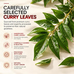 AMALTH Curry Leaf Extract Capsules 500 mg - 120 Vegetarian Capsules - image 3