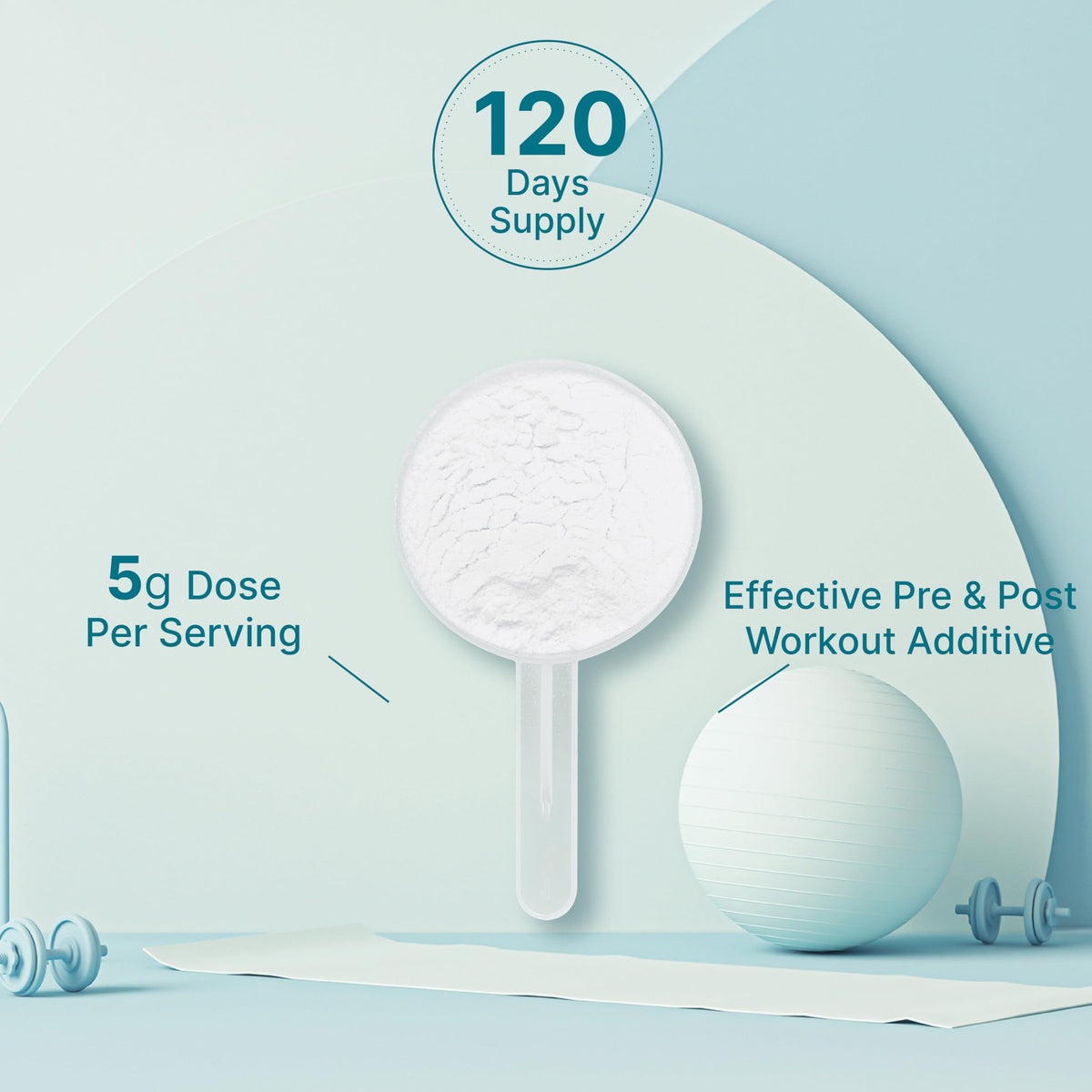 Deal Supplement BA DS Creatine Parent