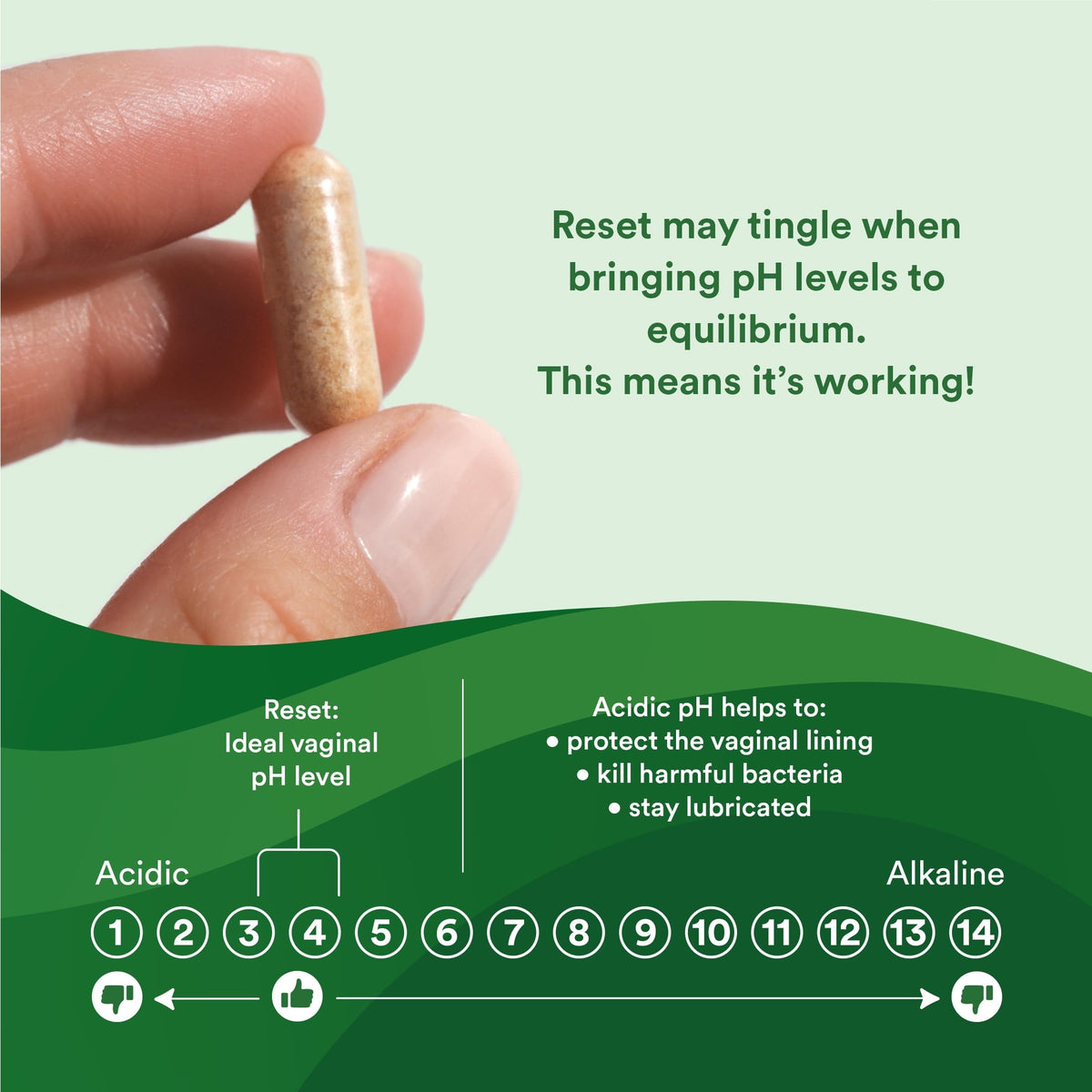 Good Clean Love Reset Homeopathic Vaginal Suppository - 10 Capsules - image 6