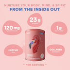 BIRDMAN Fitmingo Vegan Protein Powder with Inositol - 18 oz - image 4
