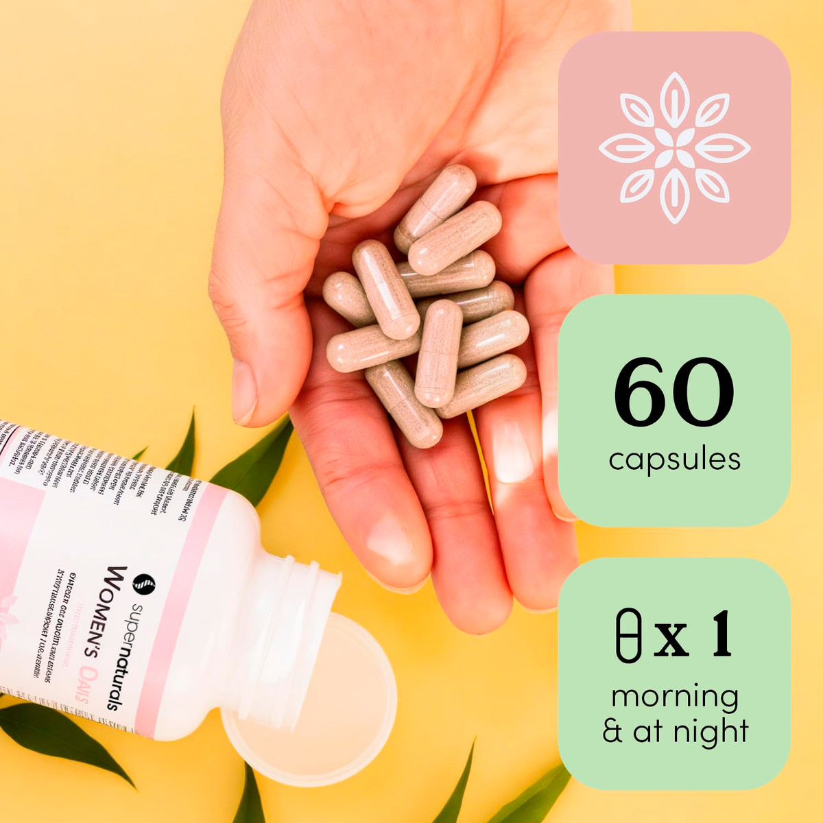 JLM Nutritionals Super Naturals Health Multivitamin for Women - 60 Capsules - image 3