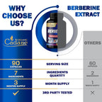 Organic Cadane Berberine Supplement with Ceylon Cinnamon - 90 Capsules - image 5