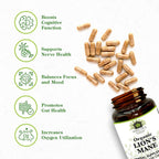 Hale Ola Lion's Mane Supplement for Cognitive Function - 60 Capsules - image 3