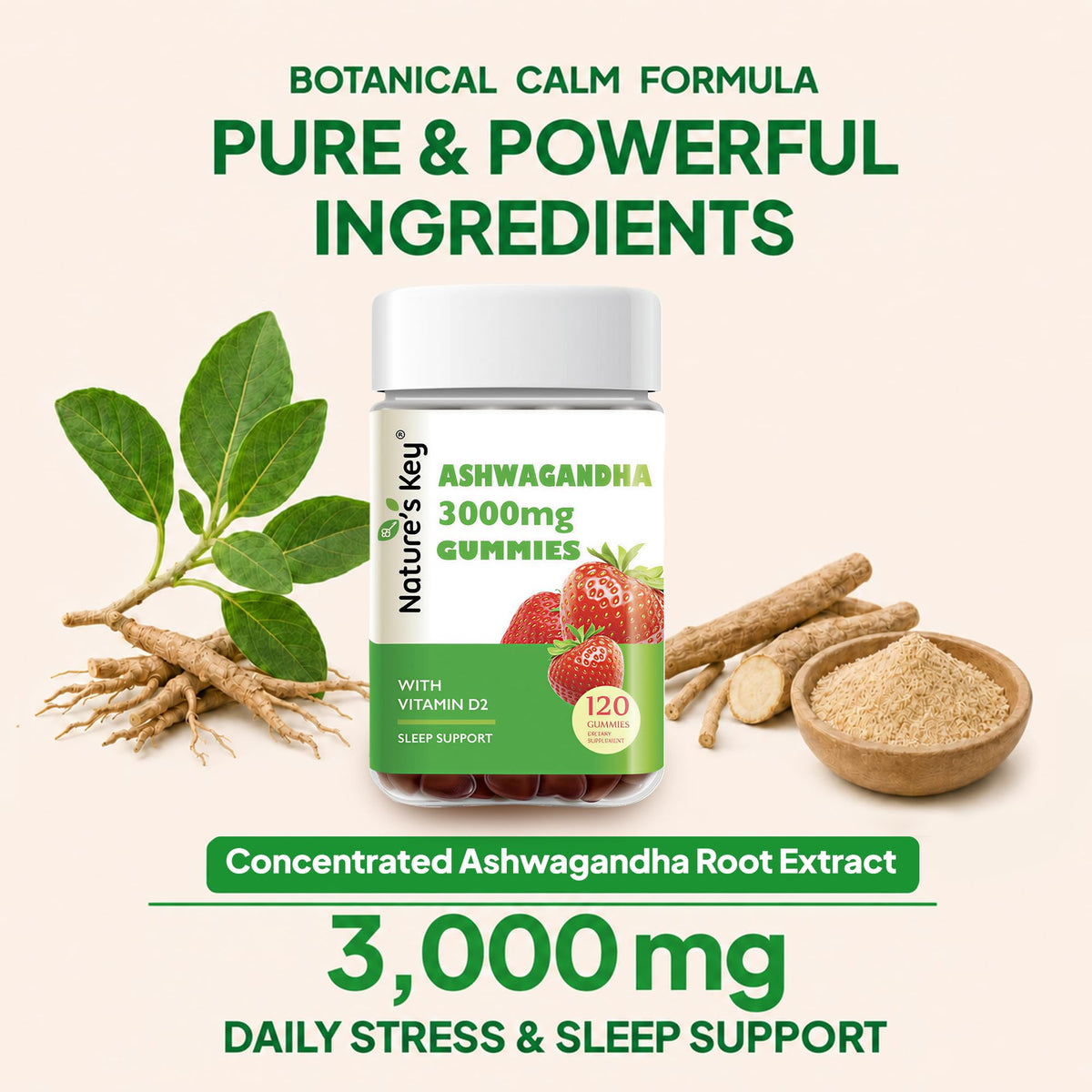 Nature's Key ashwagandha Gummies
