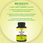 SunNature Haritaki Tablets 1000 mg - 90 Tablets - image 6