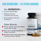 Vitauthority Berberine HCL with Ceylon Cinnamon - 60 Capsules - image 3
