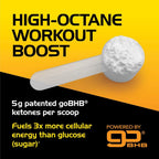 Real Ketones Nootropic Stim Free Pre Workout Powder - No Sugar