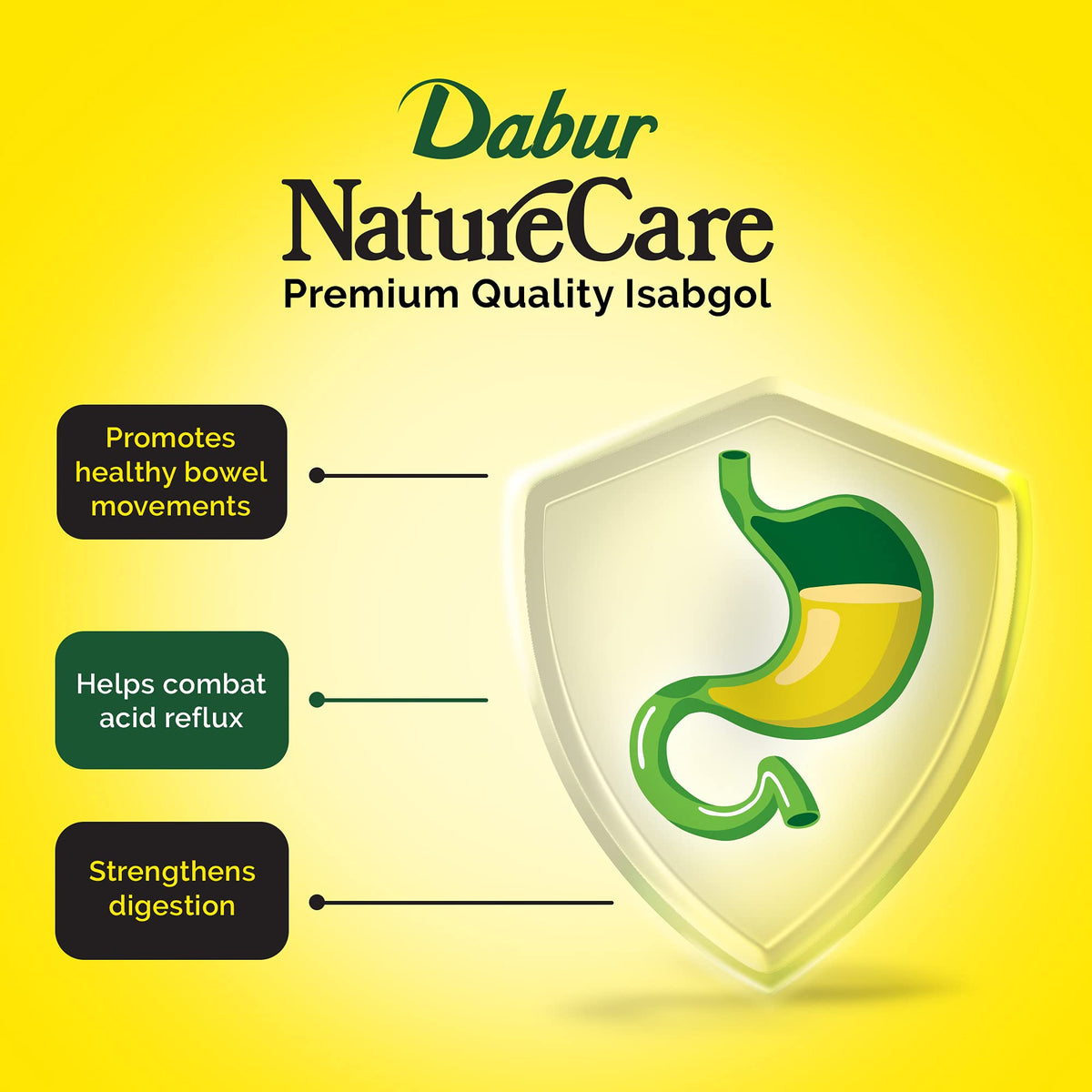 Dabur Nature Care Isabgol Dietary Fibre - 375 g - image 3