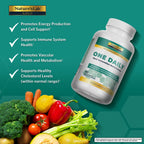 Nature's Lab Gold One Daily Multivitamin - Contains 19 Essential