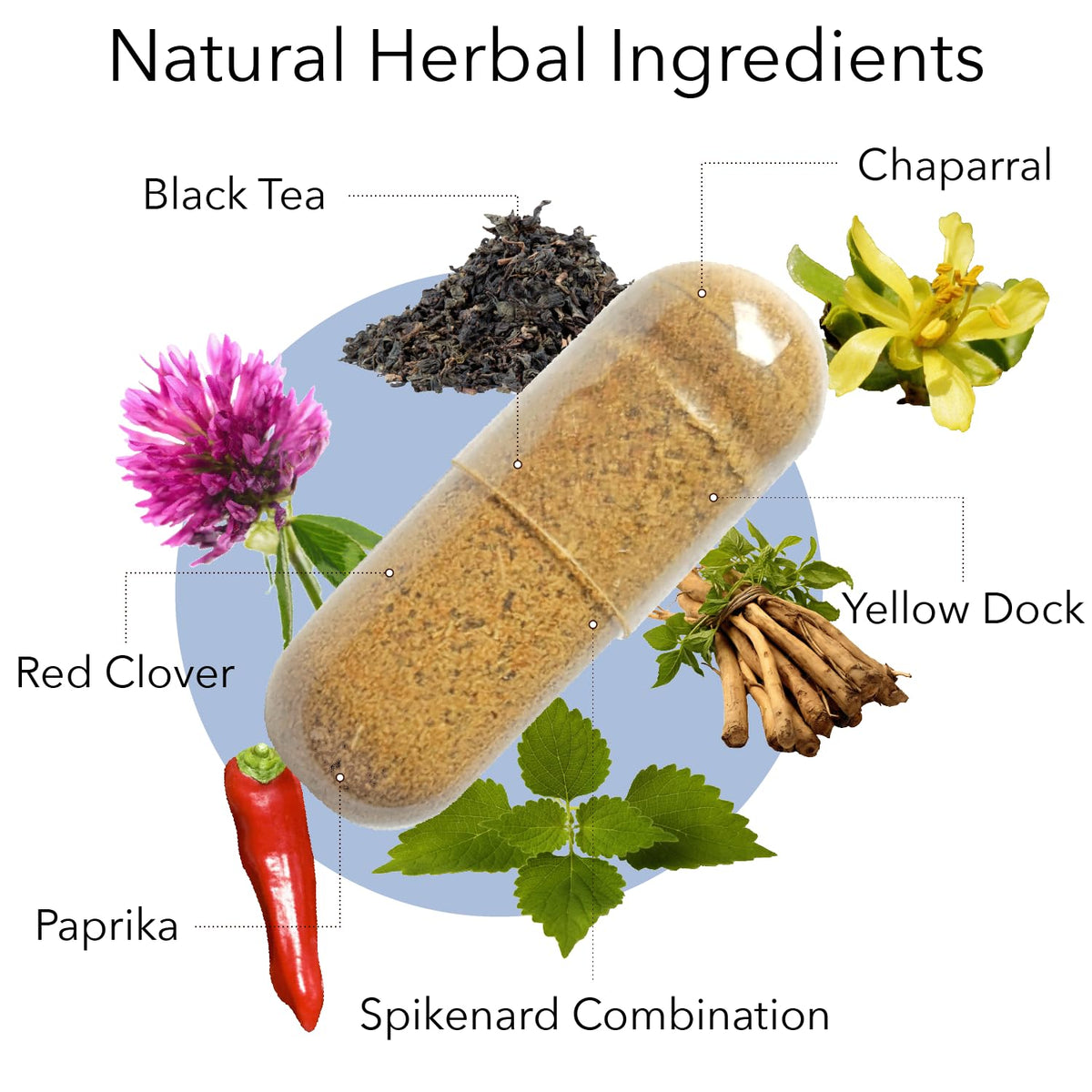Kroeger Herb Products - image 2