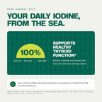 Kuli Kuli Organic Marine Glow Blue Spirulina Kelp Powder - 6oz - image 4
