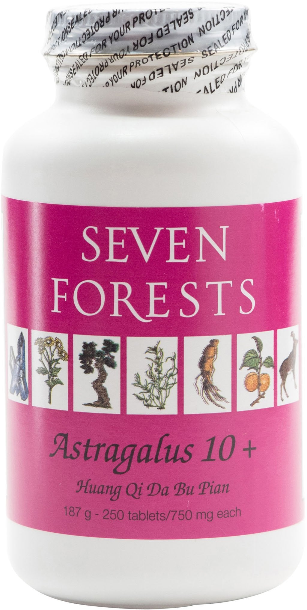 Seven Forests Astragalus 10+ Herbal Supplement - 250 Tablets
