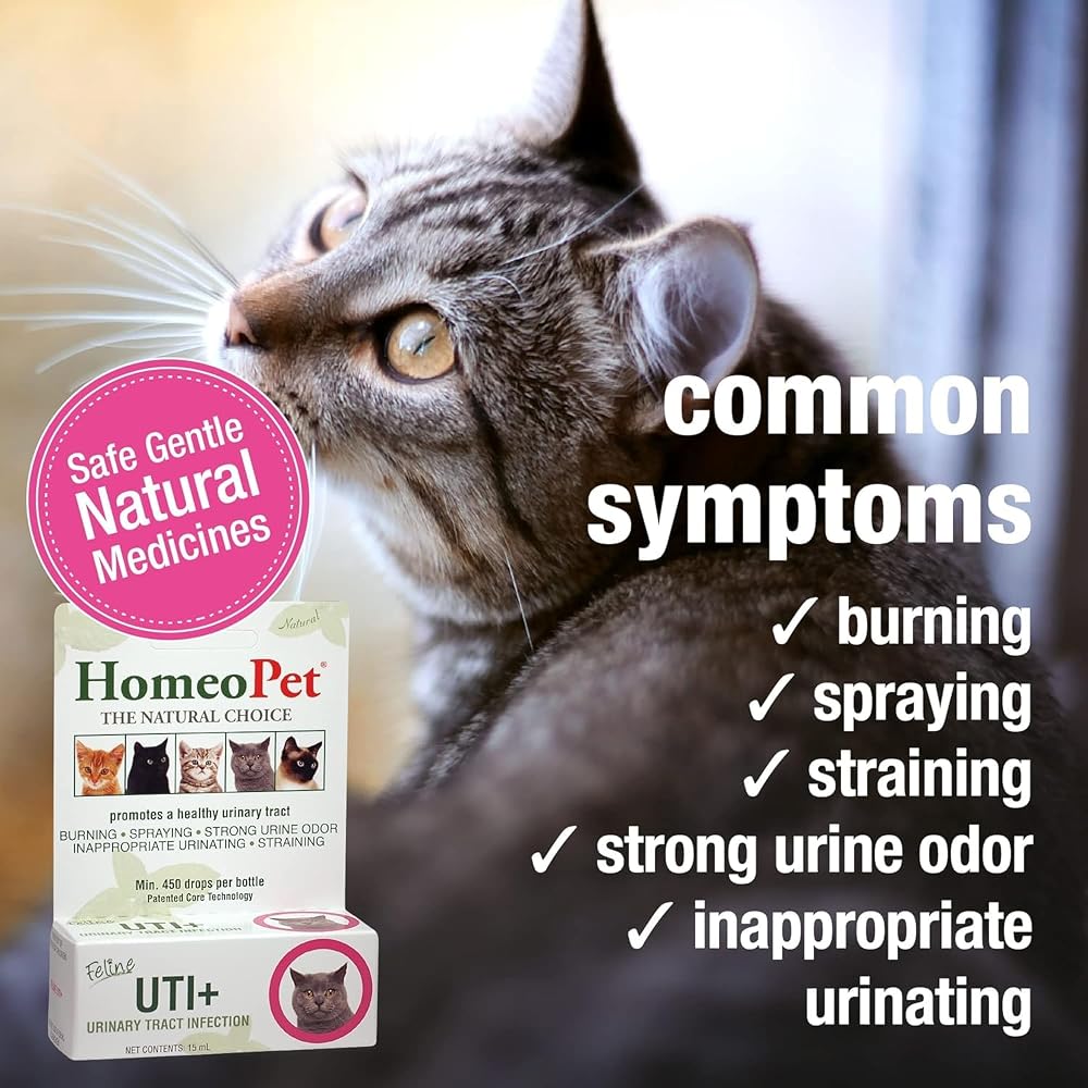 HomeoPet Feline UTI+ Supplement for Cats - Pack of 2 - image 3