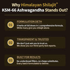 FIRSTORGANIC Himalayan Shilajit Vitality Guard+ Complex - 120 Capsules - image 2