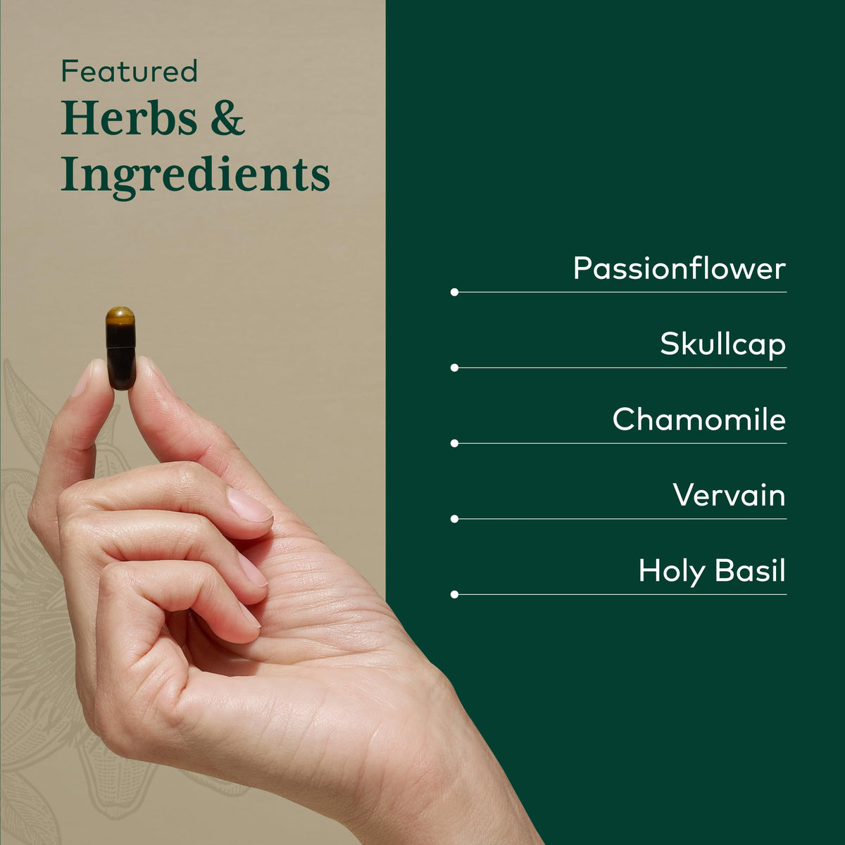 Gaia Herbs PRO Calm Restore Herbal Supplement - 60 Capsules - image 4