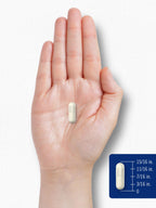 Carlyle Chitosan Supplement 1200mg - 120 Capsules - image 7