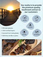 Mushroom Orbit Chaga Organic Mushroom Extract Powder - 60 Servings - image 3