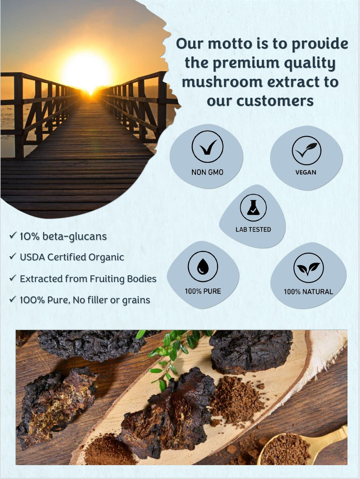 Mushroom Orbit Chaga Organic Mushroom Extract Powder - 60 Servings - image 3