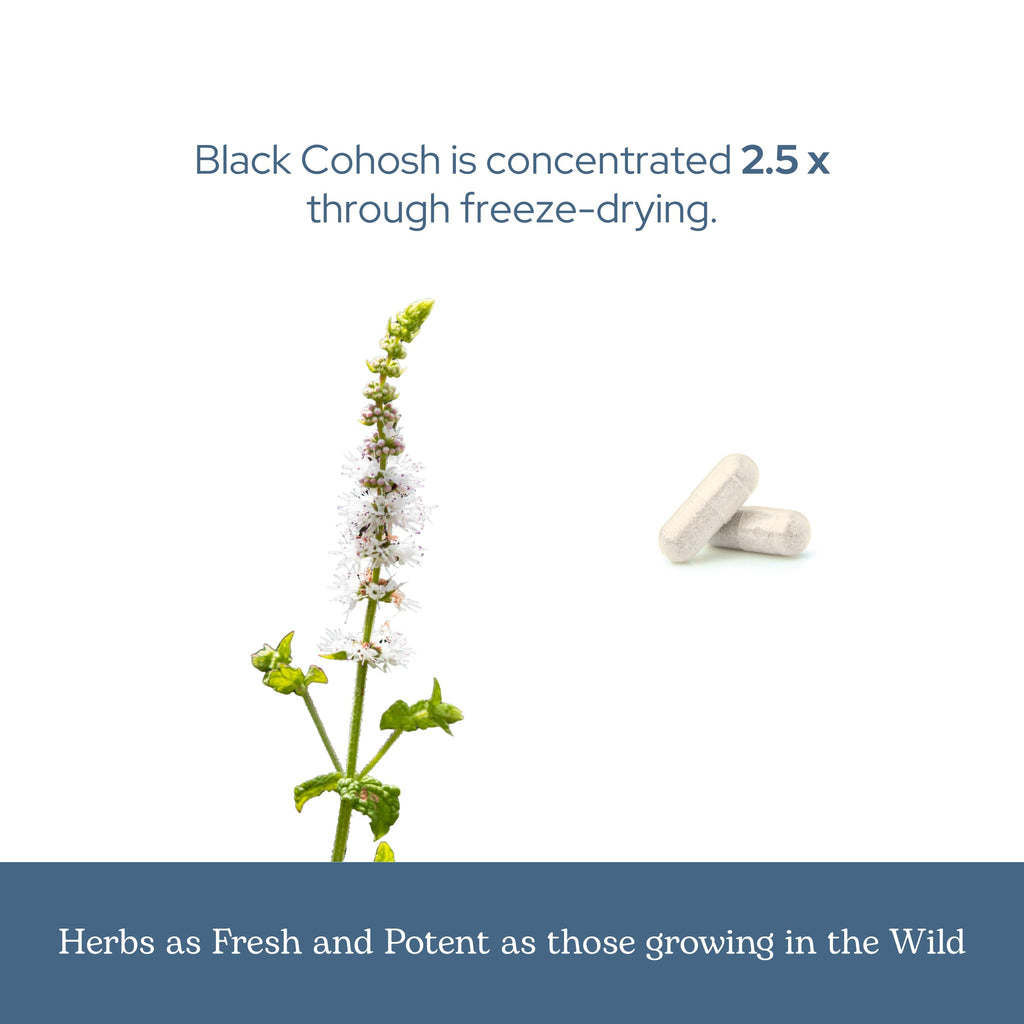Eclectic Institute Black Cohosh Root Capsules Menopause Support - 100 Count - image 6
