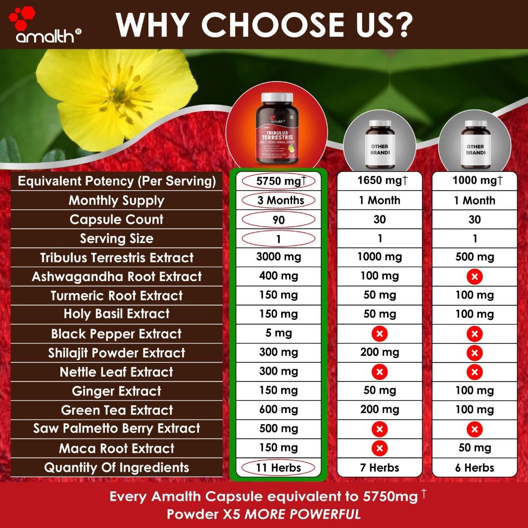 AMALTH Tribulus Terrestris 20:1 Extract Herbal Blend - 90 Capsules - image 5