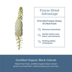 Eclectic Institute Black Cohosh Root Capsules Menopause Support - 100 Count - image 5