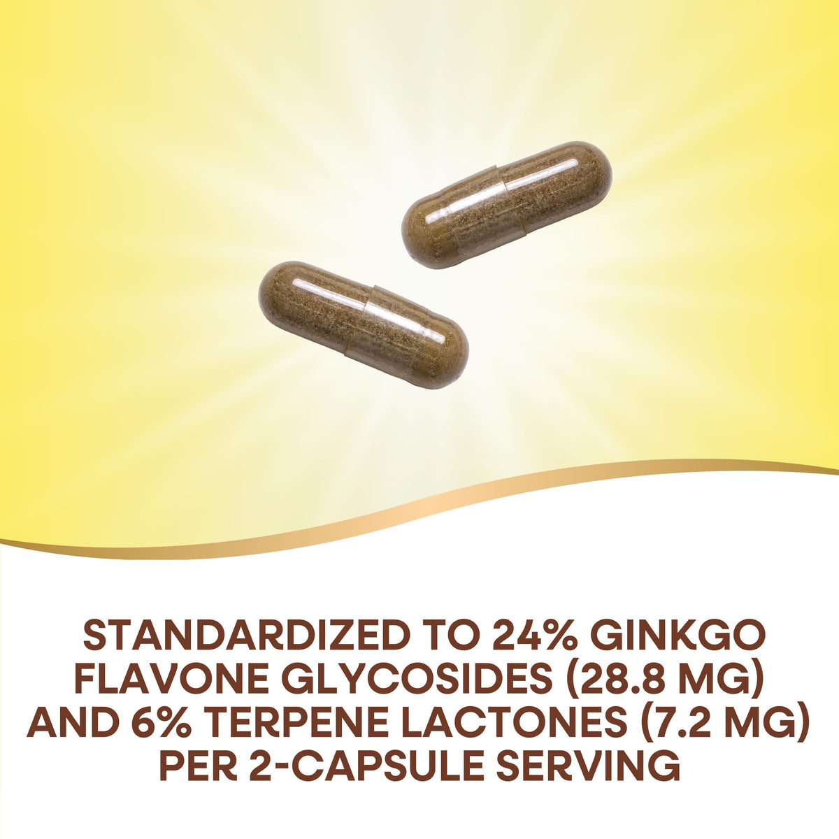 Nature's Way Ginkgo Biloba Extract Memory and Concentration - 120 Capsules - image 4