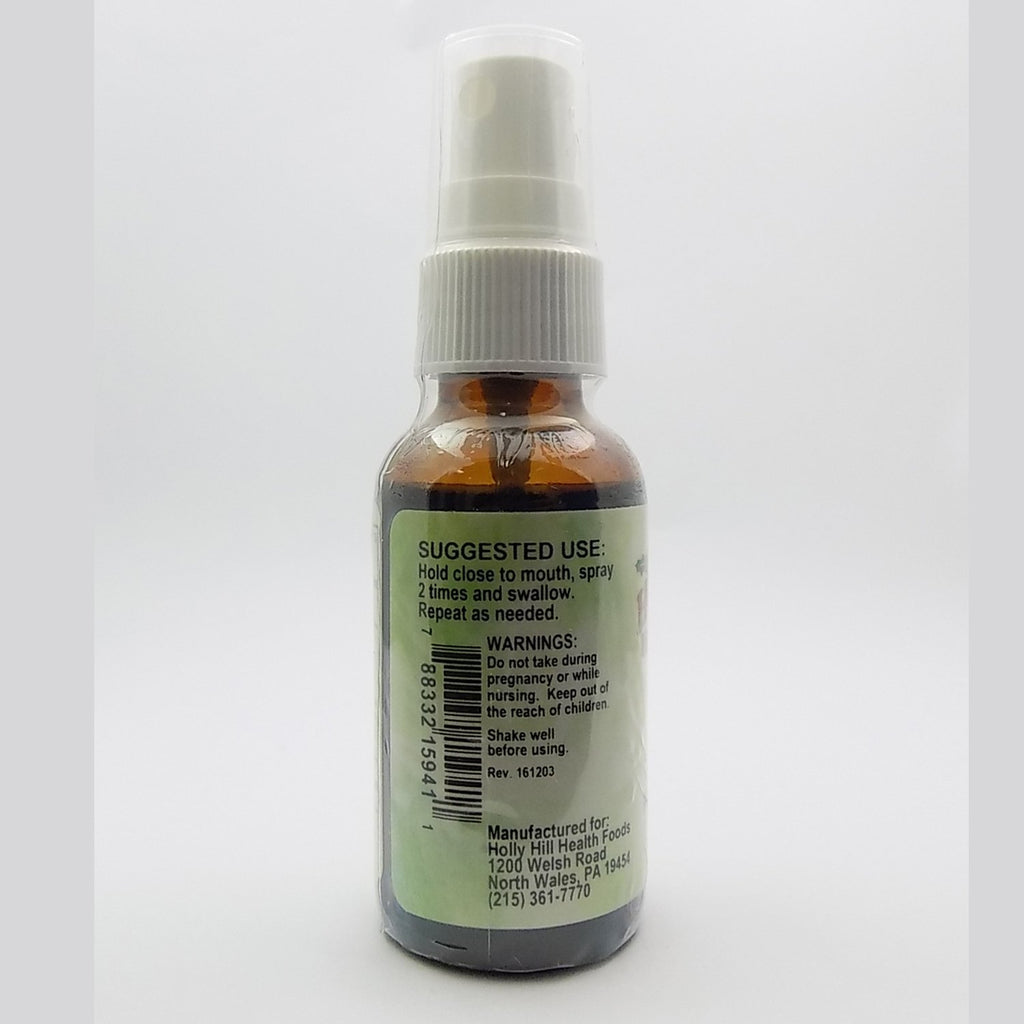 LERAMED Sinus Blaster Professional Strength Spray - 1 Fl Oz - image 3